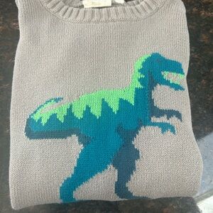Gray Dinosaur Sweater